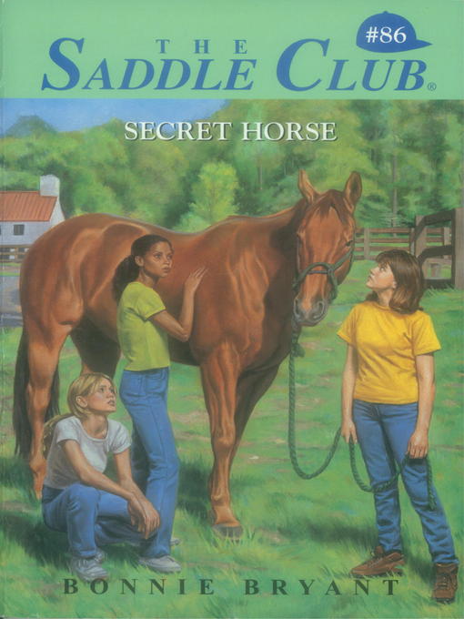 Cover image for Secret Horse